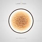 Бра RODA WALL Акрил. Размер L Lampatron 3553-8703