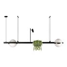 Подвесной светильник Loft IT 10121/D Jardin