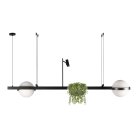 Подвесной светильник Loft IT 10121/D Jardin