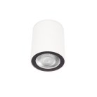 Накладной светильник LOFT IT 10344 White Rush