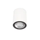 Накладной светильник LOFT IT 10344 White Rush