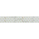 Светодиодная лента Arlight 019086(2) A280 36mm