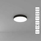 Потолочный светильник Arte Lamp A7350PL-1BK FADO