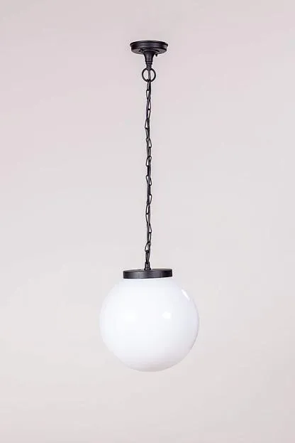 Уличный светильник подвесной Oasis Light 88205L Bl