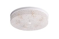 Потолочный светильник Escada 683/6PL