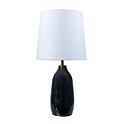 Декоративная настольная лампа Arte Lamp A5046LT-1BK RUKBAT