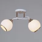 Потолочная люстра Reluce 06117-0.3-02 WH+FG