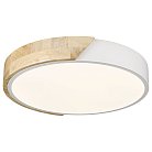 Потолочный светильник Velante 445-007-01