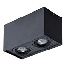 Светильник Потолочный Arte Lamp A5544PL-2BK FACTOR