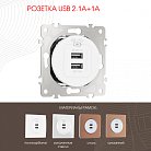 Розетка USB 2.1А+1А Arte Milano 202.46-1.white am