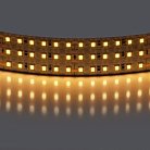Лента теплого белого свечения 24V Lightstar 423003