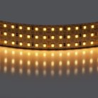 Лента теплого белого свечения 24V Lightstar 423003