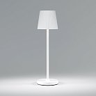 Уличный настольный светодиодный светильник Elektrostandard TL70220 белый a063928 Mist