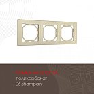 Рамка из поликарбоната на 3 поста Arte Milano 503.06-3.shampan am