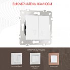 Выключатель жалюзи, 10A 250V Arte Milano 203.38-2.white am