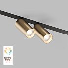 Трековый светильник Denkirs DK8012-BG Smart