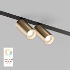 Трековый светильник Denkirs DK8012-BG Smart