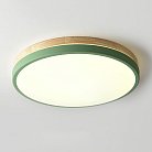Потолочный Светильник Disc Dh D27 Green By Imperiumloft 189893-26