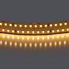 Лента теплого белого свечения 24V Lightstar 422003