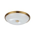 Настенно-потолочный светильник ODEON LIGHT 4956/5 PELOW
