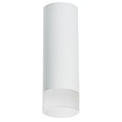 Накладной светильник Lightstar R48631 Rullo