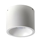 Потолочный светильник Favourite 1993-1C Reflector