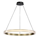 Люстра подвесная Lightstar 736281 Rotonda