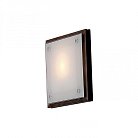 Настенно-потолочный светильник Citilux CL938311
