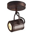 Спот Lussole LSP-9131 Loft CLIFTON