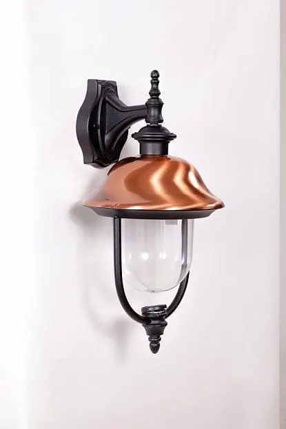 Настенный светильник уличный Oasis Light 84302c Bl Настенный светильник уличный Oasis Light 84302c Bl