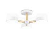 Потолочная люстра Ambrella light FL4821 LINETECH