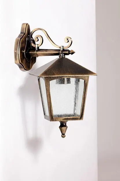 Настенный светильник уличный Oasis Light 15902 Gb Настенный светильник уличный Oasis Light 15902 Gb