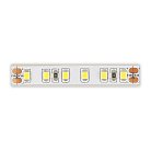 Светодиодная лента ST Luce ST1001.410.65.2