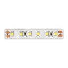 Светодиодная лента ST Luce ST1001.410.65.2