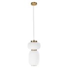 Подвесной светильник Loft IT 10422/B Duff