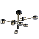 Потолочная люстра Zortes ZRS.1805.06 LUNAR