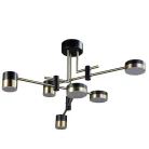 Потолочная люстра Zortes ZRS.1805.06 LUNAR