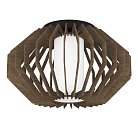 Потолочный светильник Eglo 900385 RUSTICARIA