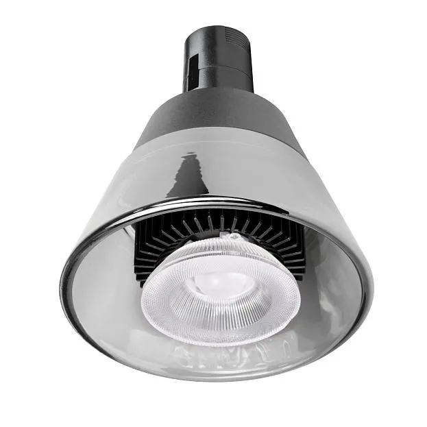 Светильник 48V (D85) 6W 645LM 50G ЧЕРНЫЙ 4000K Lightstar 210947 Due Hermes