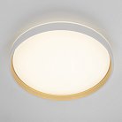 Светильник с пультом Citilux CL753510G ENZO