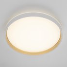 Светильник с пультом Citilux CL753510G ENZO