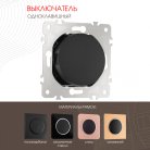 Выключатель одноклавишный, 10AX 250V Arte Milano 202.30-1.black am