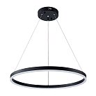 Подвесная люстра Arte Lamp A2548SP-45BK SIREN