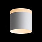 Потолочный светильник ST Luce ST102.502.12