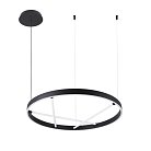 Подвесная люстра Arte lamp A1874SP-32BK RICCO
