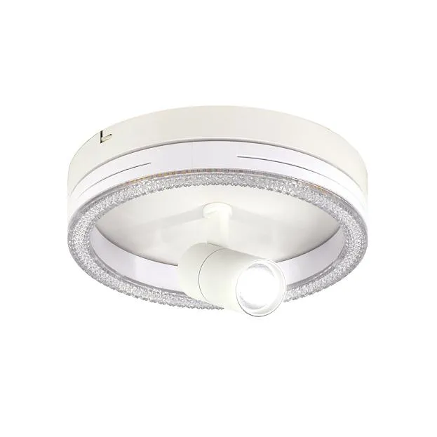 Настенно-потолочный свет Escada 20044SMA/02LED WH
