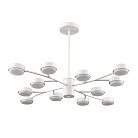 Люстра потолочная Lumion 8265/12 TORINA