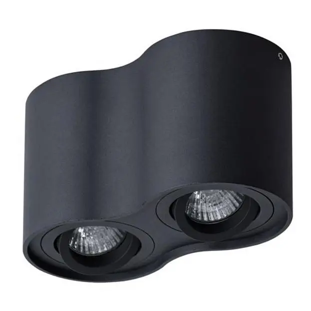 Светильник Потолочный Arte Lamp A5645PL-2BK FALCON Светильник Потолочный Arte Lamp A5645PL-2BK FALCON