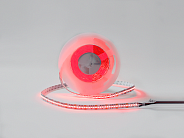 Светодиодная лента LUX, 3838, 240 LED/м, 16,4 Вт/м, 24В, IP33, RGB SWG DSG8A240-24-RGB-33