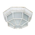 Уличный потолочный светильник Arte Lamp A3121PF-1WG PEGASUS